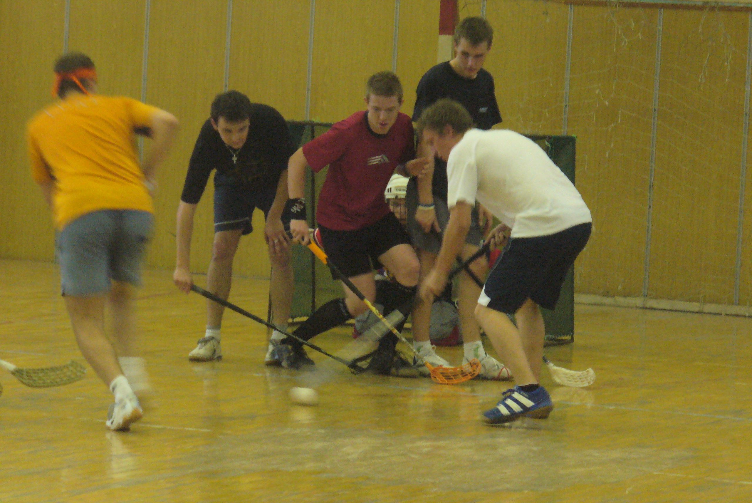 P1000718.jpg